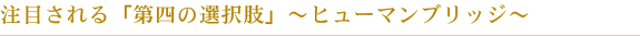 注目される「第四の選択肢」～ヒューマンブリッジ～