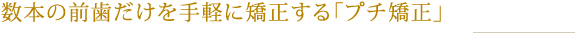 数本の前歯だけを手軽に矯正する「プチ矯正」