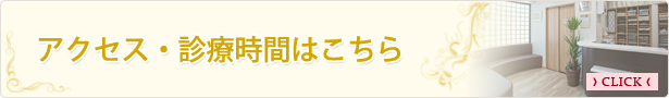 診療時間・アクセスはこちら